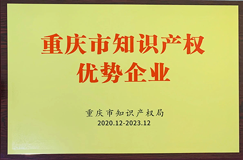 重慶市知識產(chǎn)權(quán)優(yōu)勢企業(yè)