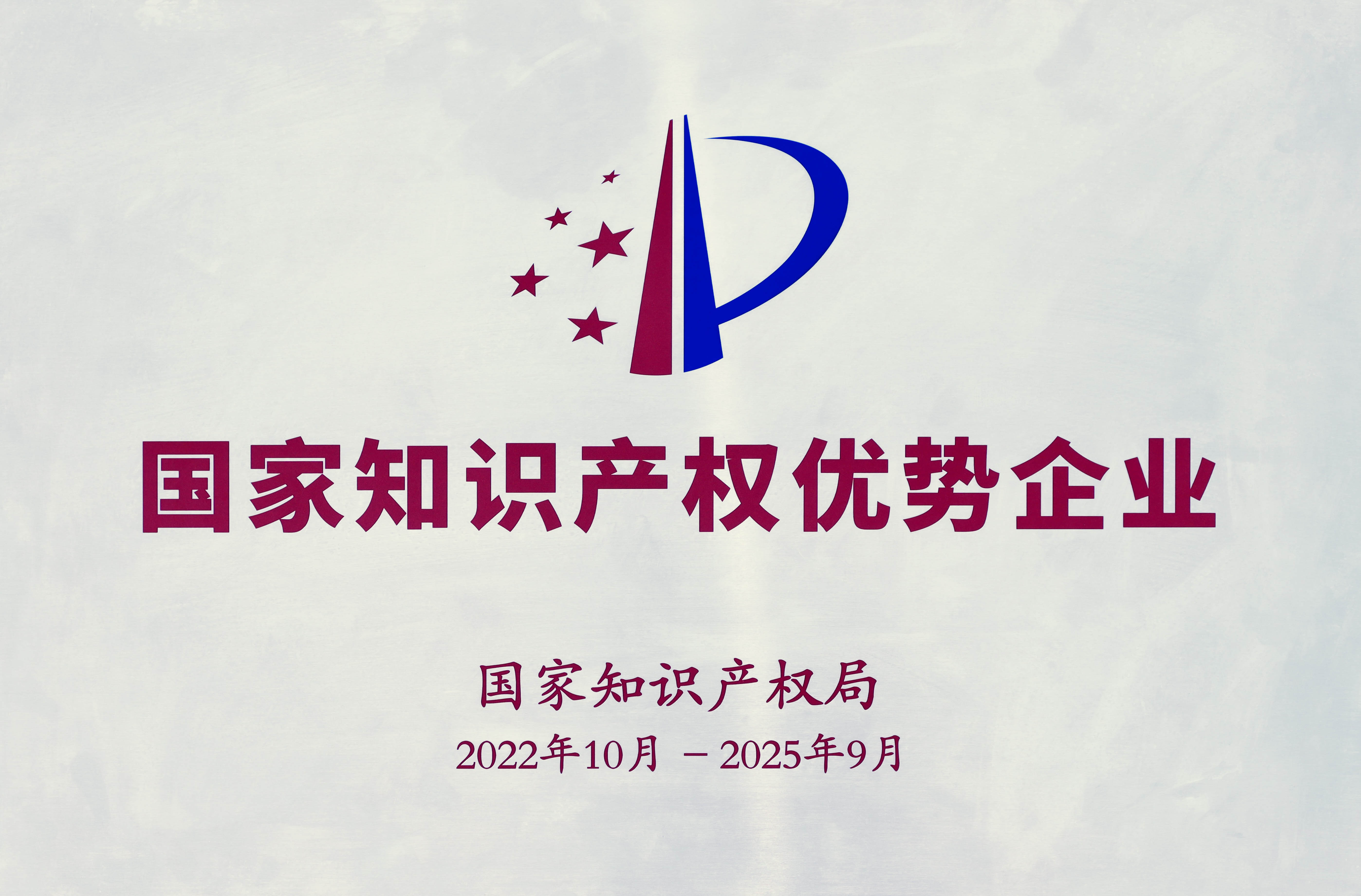 國家知識(shí)產(chǎn)權(quán)優(yōu)勢企業(yè)
