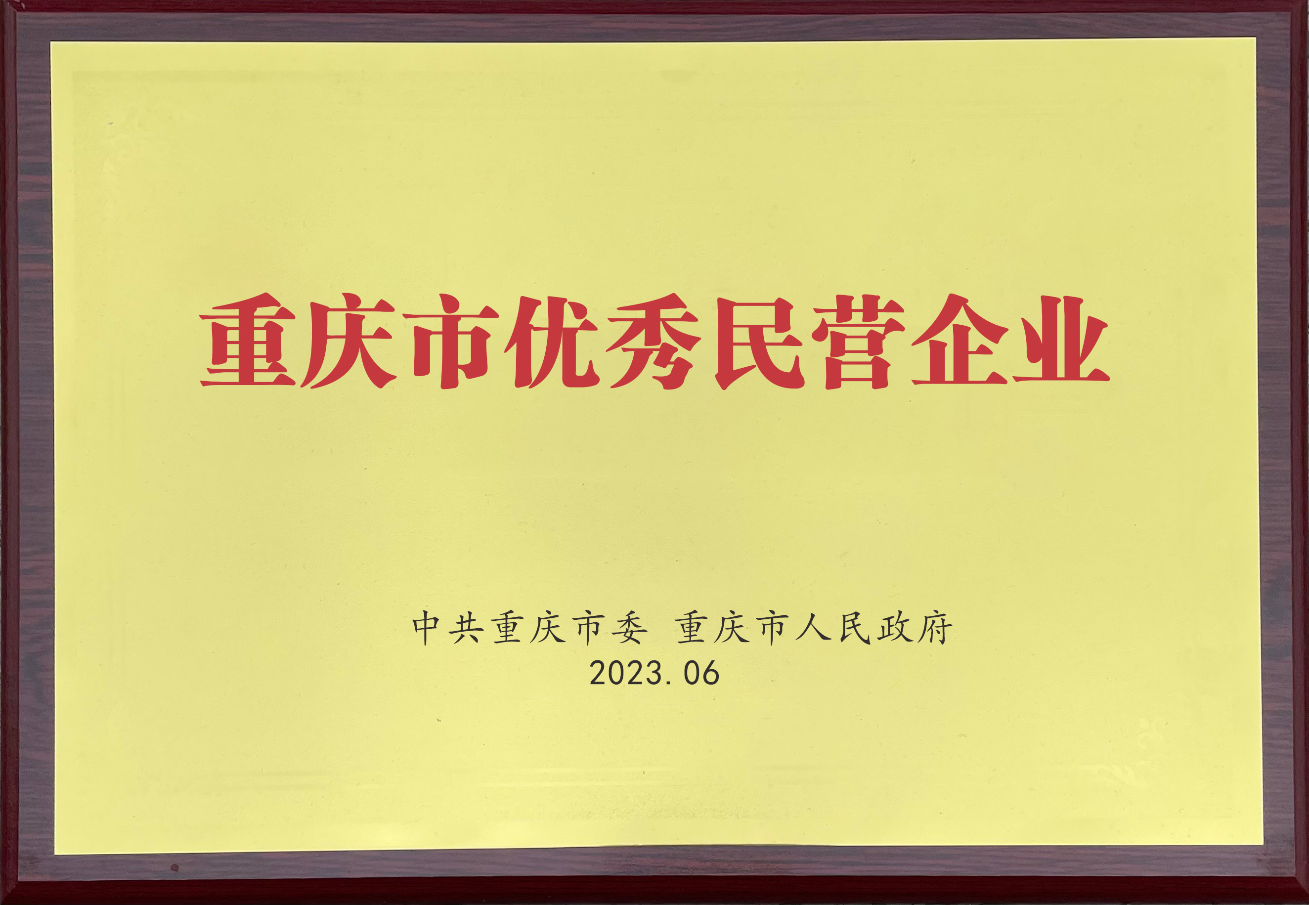 重慶市優(yōu)秀民營企業(yè)
